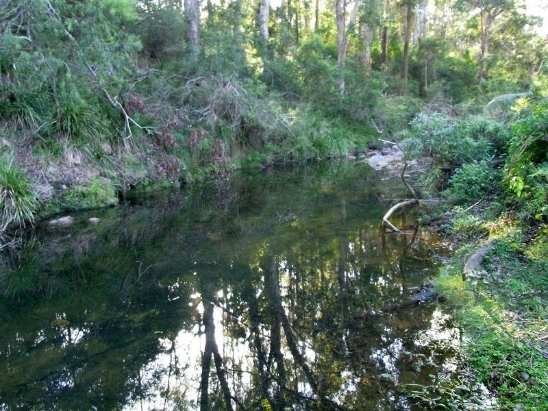 213 Myrtle Mt Road, Wyndham NSW 2550
