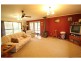 213 Myrtle Mt Road, Wyndham NSW 2550