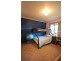 213 Myrtle Mt Road, Wyndham NSW 2550