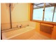 213 Myrtle Mt Road, Wyndham NSW 2550