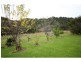 213 Myrtle Mt Road, Wyndham NSW 2550