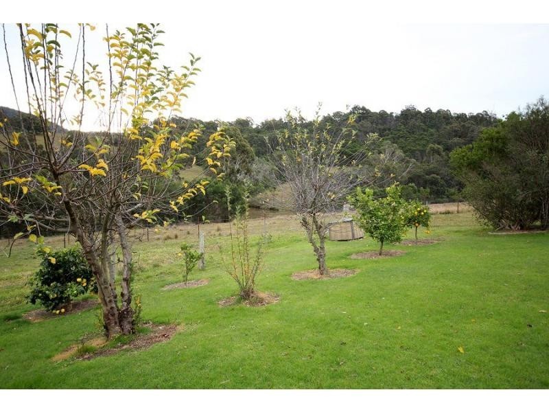 213 Myrtle Mt Road, Wyndham NSW 2550