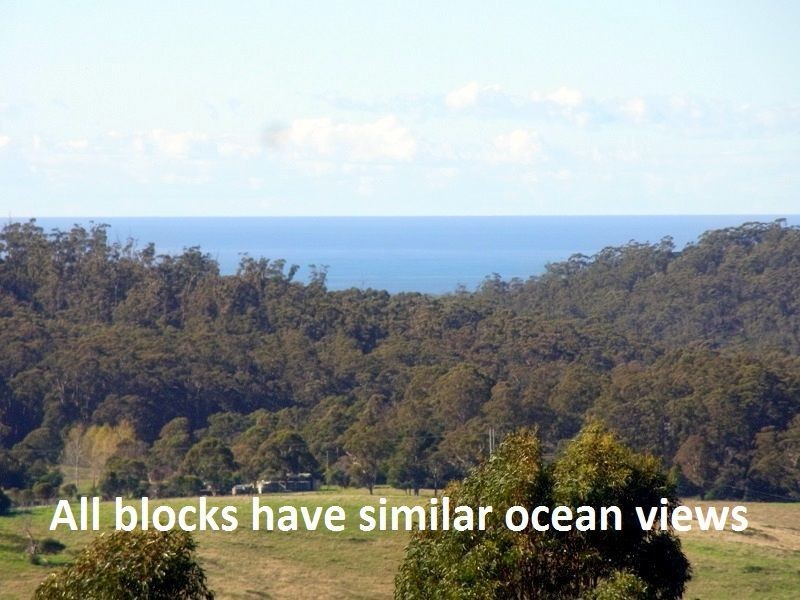 L2 Mine Road, Lochiel NSW 2549