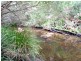923 Nethercote Road, Nethercote NSW 2549