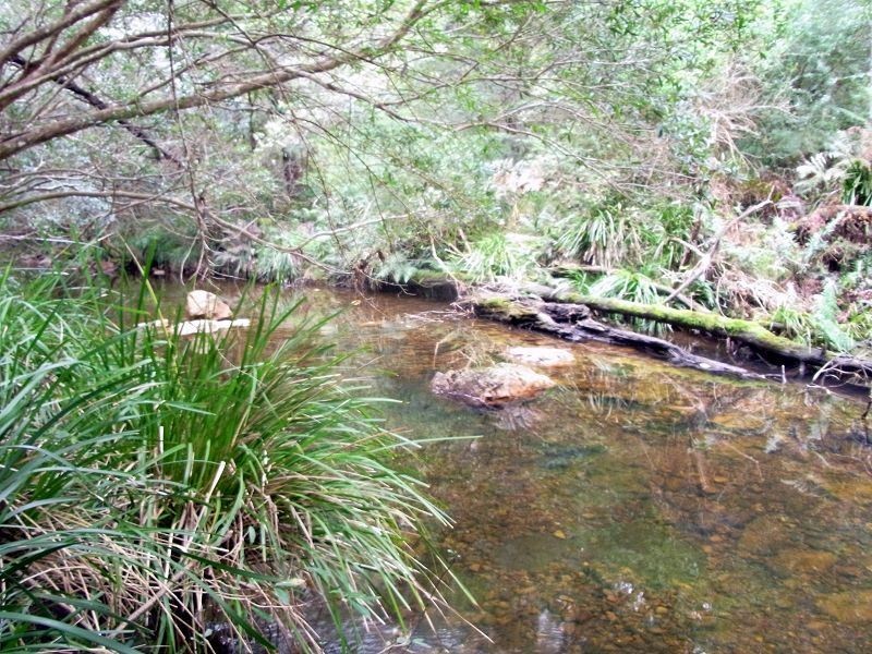 923 Nethercote Road, Nethercote NSW 2549