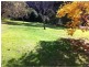 923 Nethercote Road, Nethercote NSW 2549