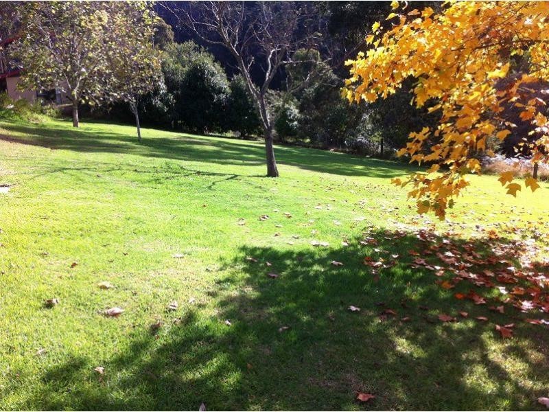 923 Nethercote Road, Nethercote NSW 2549