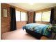 923 Nethercote Road, Nethercote NSW 2549