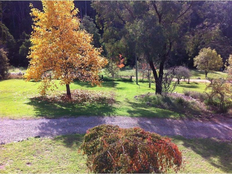 923 Nethercote Road, Nethercote NSW 2549
