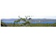 212 Princes Highway, Eden NSW 2551