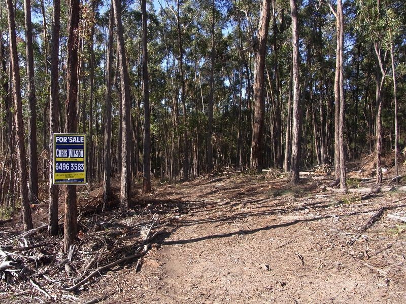 L87 Oaklands Road, Pambula NSW 2549