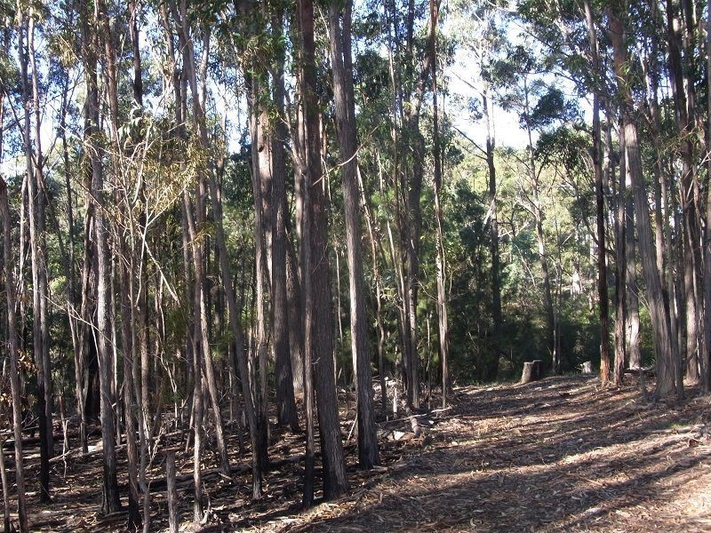 L87 Oaklands Road, Pambula NSW 2549