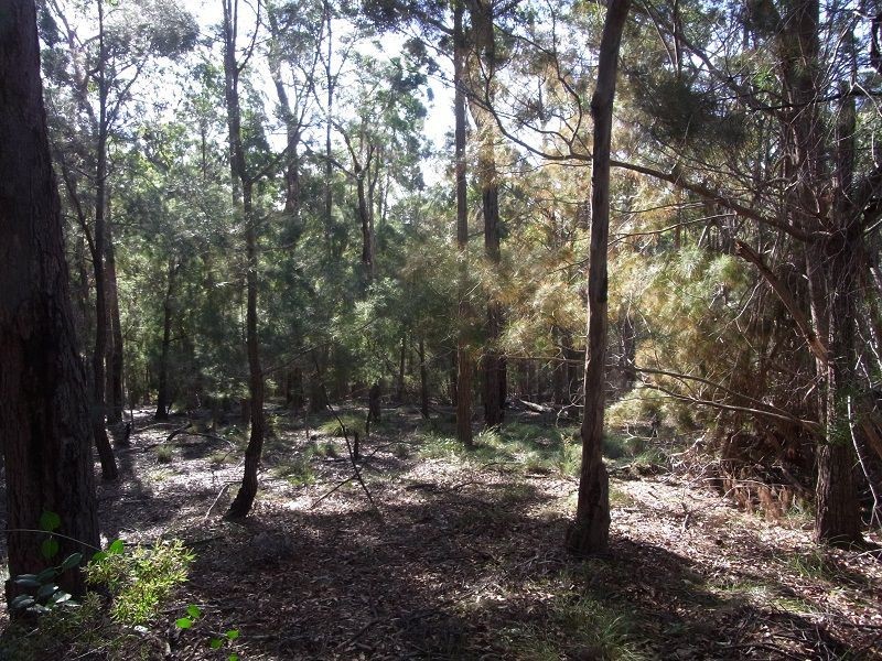 L87 Oaklands Road, Pambula NSW 2549