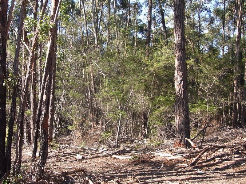 L87 Oaklands Road, Pambula NSW 2549