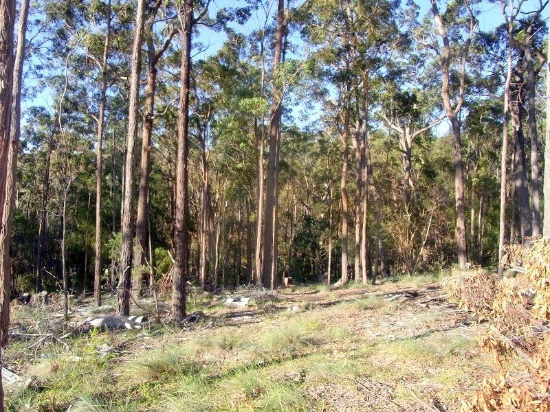 L88 Oaklands Road, Pambula NSW 2549