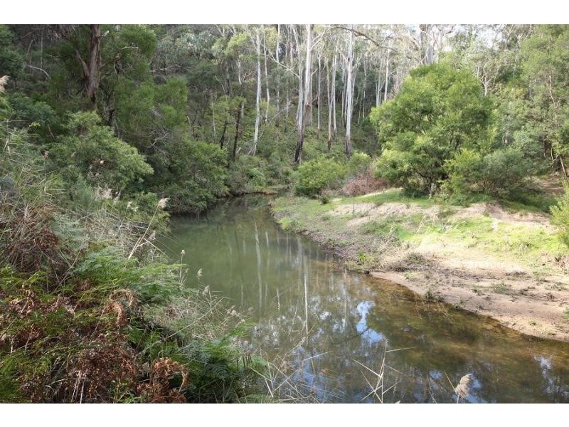 2204 Mt Darragh Road, Wyndham NSW 2550