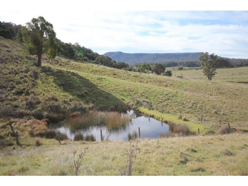 2204 Mt Darragh Road, Wyndham NSW 2550