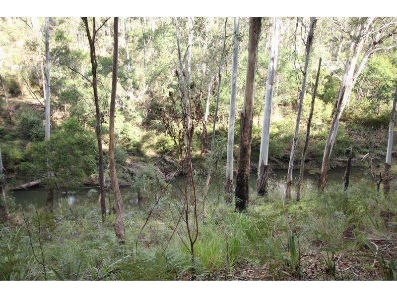 2204 Mt Darragh Road, Wyndham NSW 2550