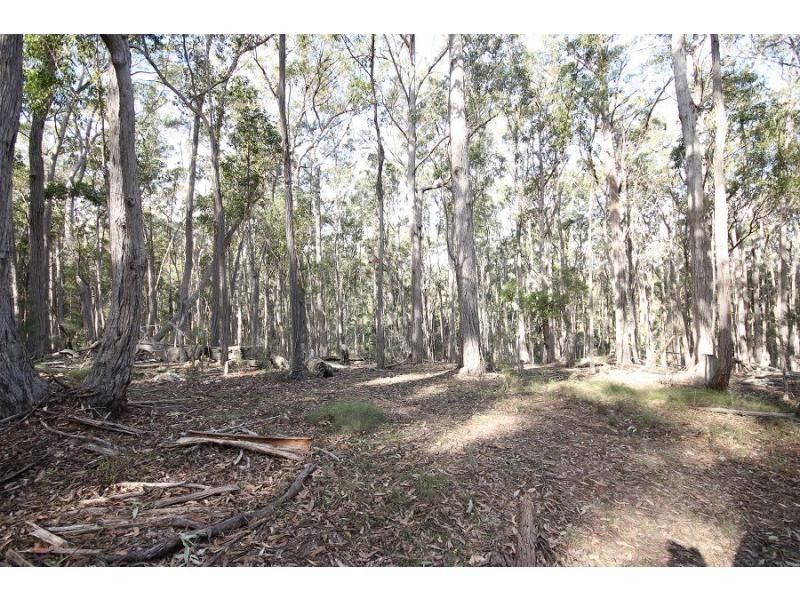 2204 Mt Darragh Road, Wyndham NSW 2550