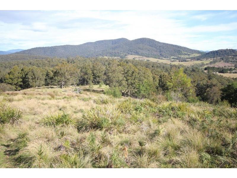 2204 Mt Darragh Road, Wyndham NSW 2550