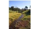 L384 Mt Darragh Road, Lochiel NSW 2549