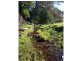 L384 Mt Darragh Road, Lochiel NSW 2549