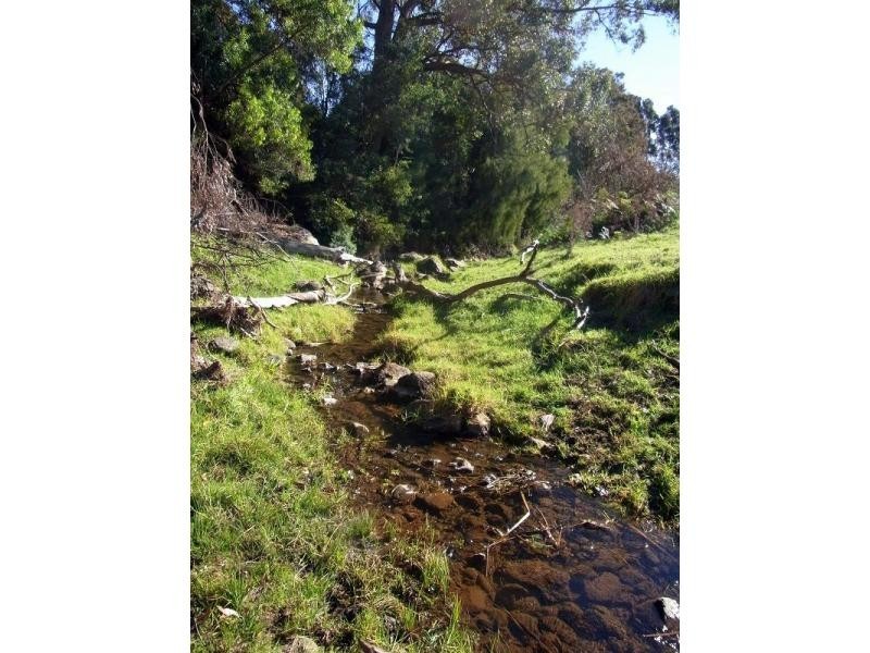 L384 Mt Darragh Road, Lochiel NSW 2549