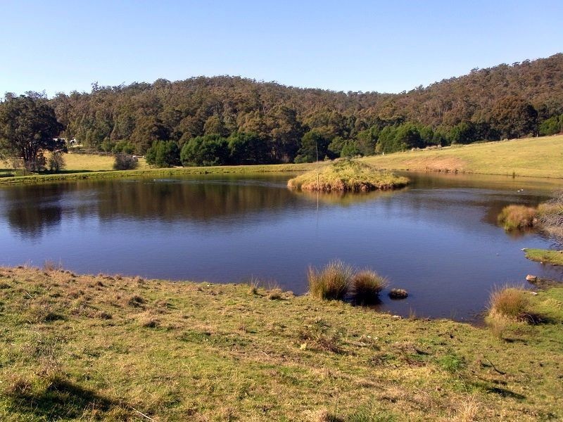 L384 Mt Darragh Road, Lochiel NSW 2549