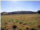 L384 Mt Darragh Road, Lochiel NSW 2549