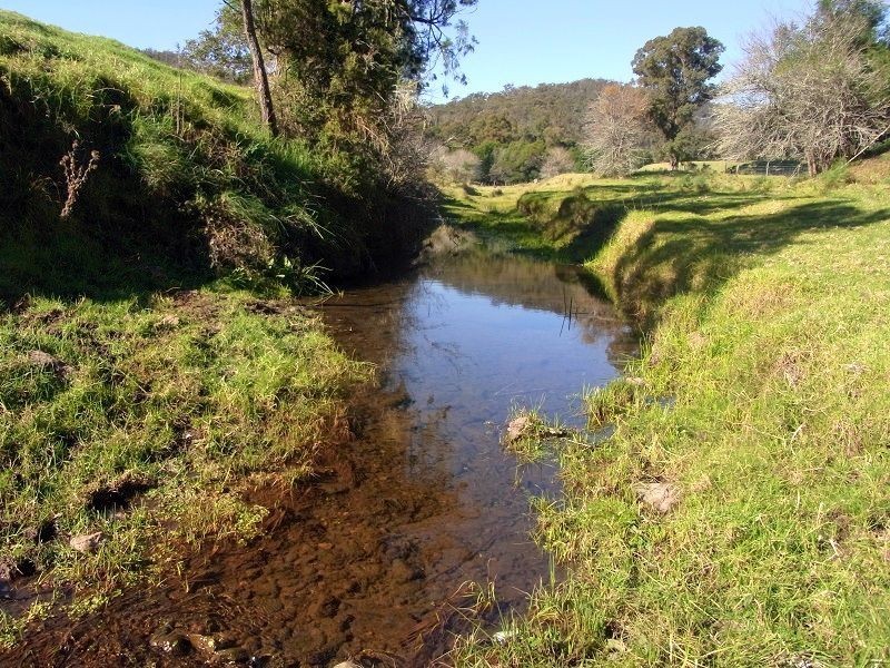 L384 Mt Darragh Road, Lochiel NSW 2549