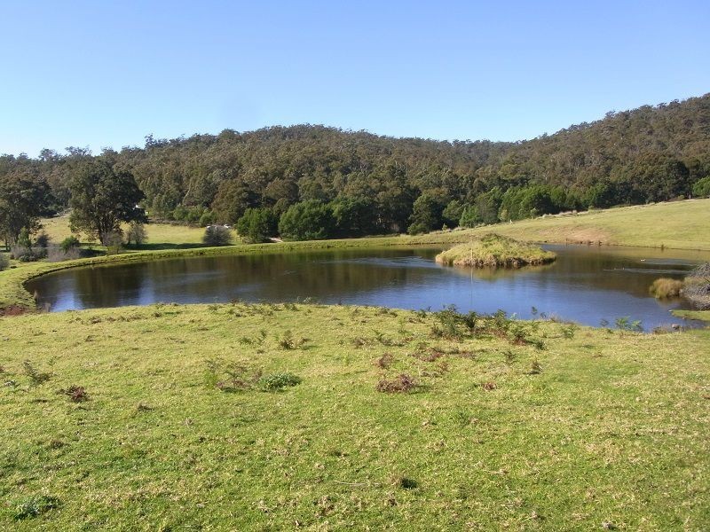 L384 Mt Darragh Road, Lochiel NSW 2549