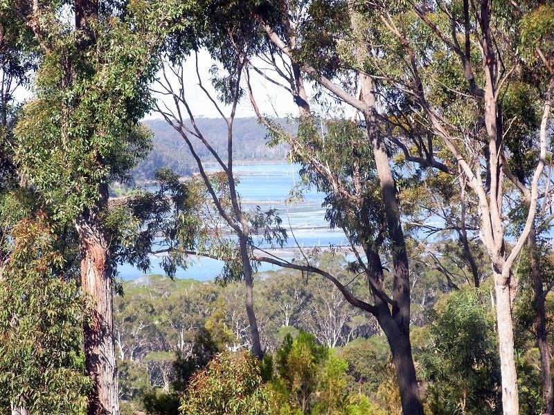 L58 White Fox Road, Broadwater NSW 2549