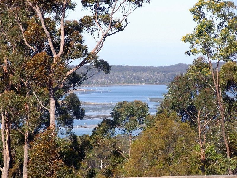 L58 White Fox Road, Broadwater NSW 2549