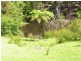 139 Nethercote Road, Nethercote NSW 2549