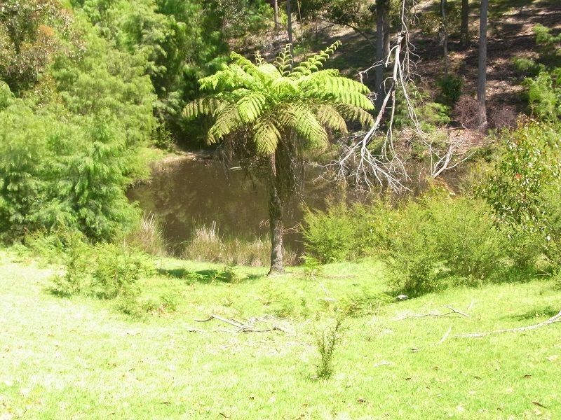 139 Nethercote Road, Nethercote NSW 2549