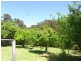139 Nethercote Road, Nethercote NSW 2549