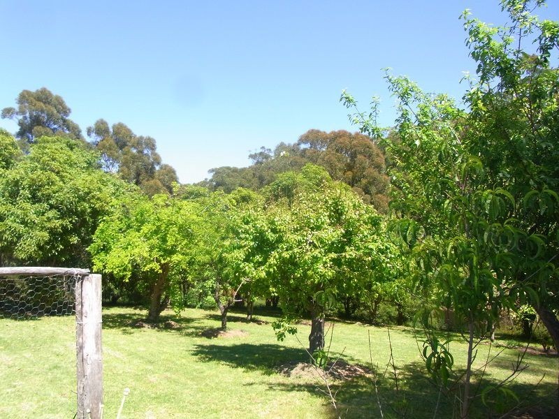 139 Nethercote Road, Nethercote NSW 2549