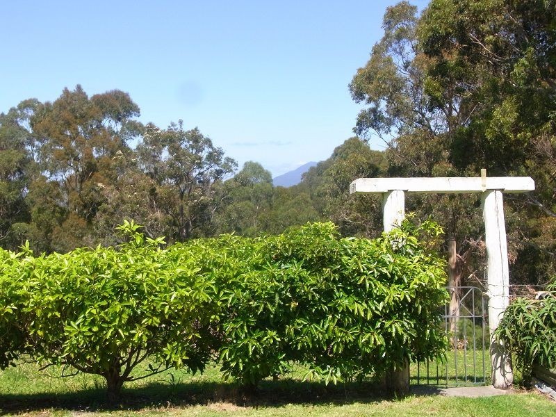 139 Nethercote Road, Nethercote NSW 2549