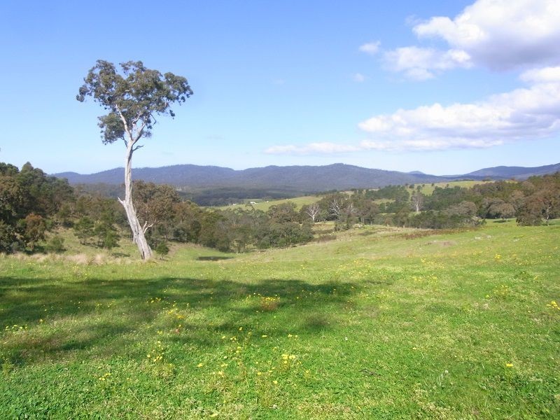 Cnr of Mt Darragh & New Buildings Road, Wyndham NSW 2550