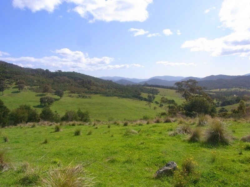 Cnr of Mt Darragh & New Buildings Road, Wyndham NSW 2550