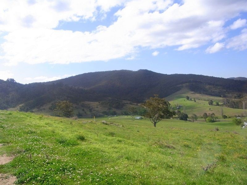 Cnr of Mt Darragh & New Buildings Road, Wyndham NSW 2550