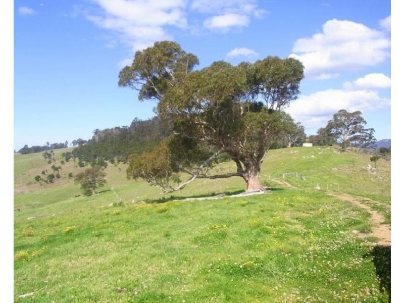 Cnr of Mt Darragh & New Buildings Road, Wyndham NSW 2550