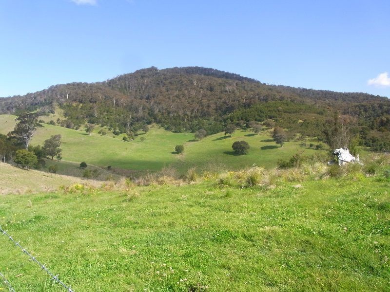 Cnr of Mt Darragh & New Buildings Road, Wyndham NSW 2550