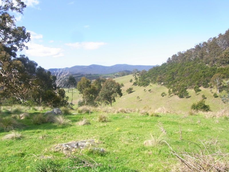 Cnr of Mt Darragh & New Buildings Road, Wyndham NSW 2550