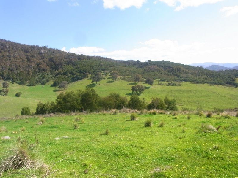 Cnr of Mt Darragh & New Buildings Road, Wyndham NSW 2550