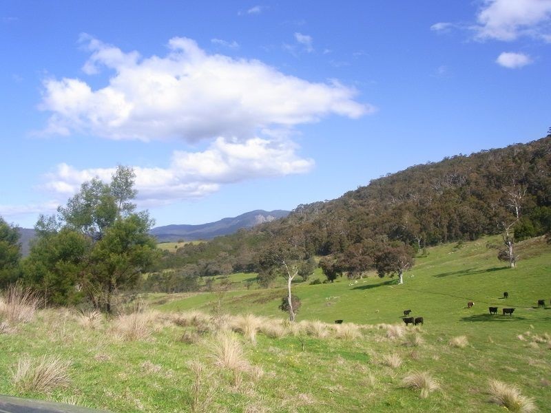Cnr of Mt Darragh & New Buildings Road, Wyndham NSW 2550