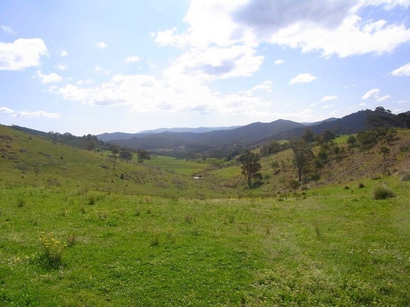 Cnr of Mt Darragh & New Buildings Road, Wyndham NSW 2550