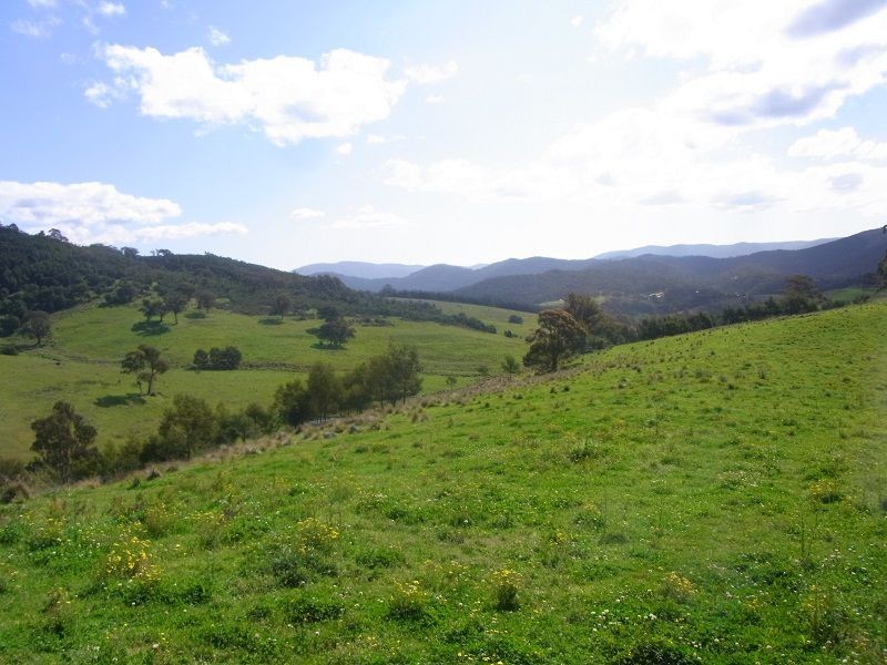 Cnr of Mt Darragh & New Buildings Road, Wyndham NSW 2550