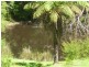 139 Nethercote Road, Nethercote NSW 2549