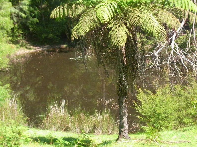 139 Nethercote Road, Nethercote NSW 2549